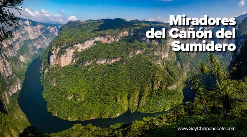 Miradores del Cañón del Sumidero ¡Tienes que visitarlos!