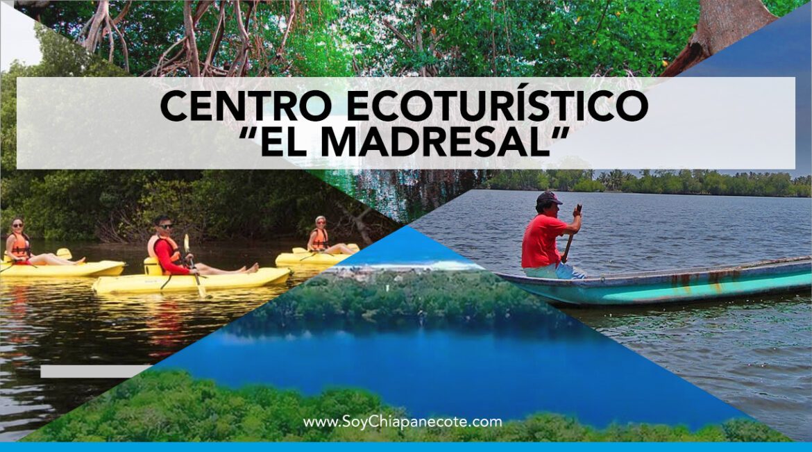 Centro Ecoturístico El Madresal en Tonalá, Chiapas ¡Conócelo!