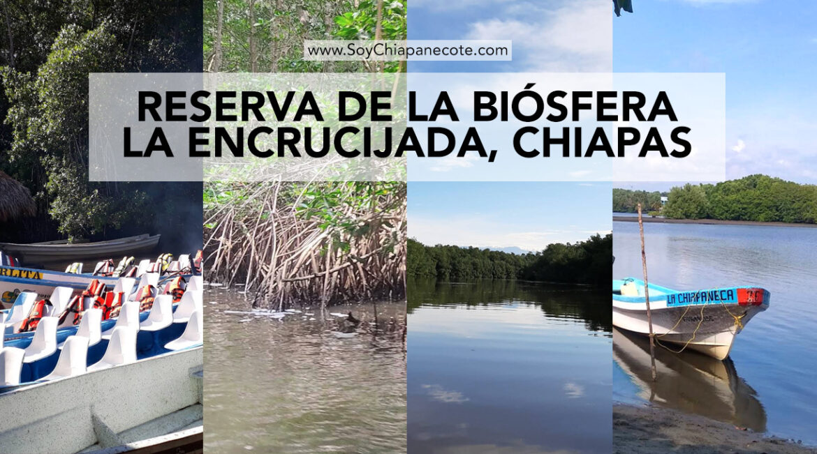 Reserva de la Biósfera La Encrucijada, Chiapas