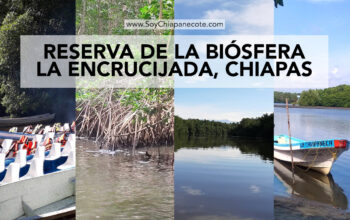 Reserva de la Biósfera La Encrucijada, Chiapas