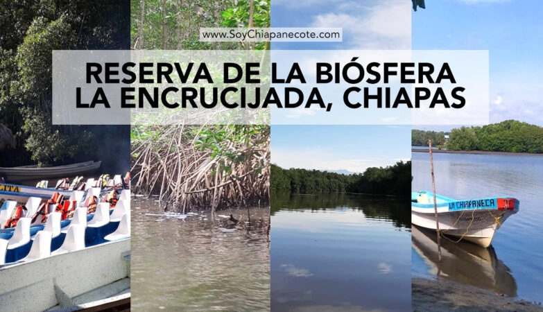 Reserva de la Biósfera La Encrucijada, Chiapas