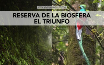 reserva-de-la-biosfera-el-triunfo